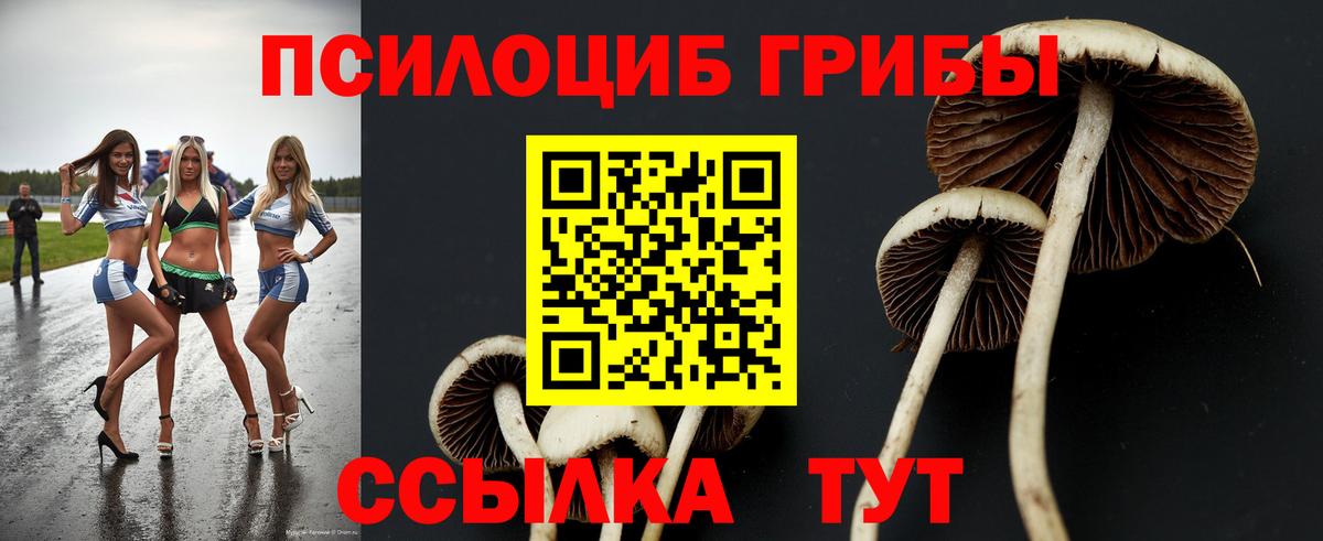 Псилоцибиновые грибы Psilocybe  Галлюциногенные грибы ЛСД  Вход с VPN  Волгодонск 